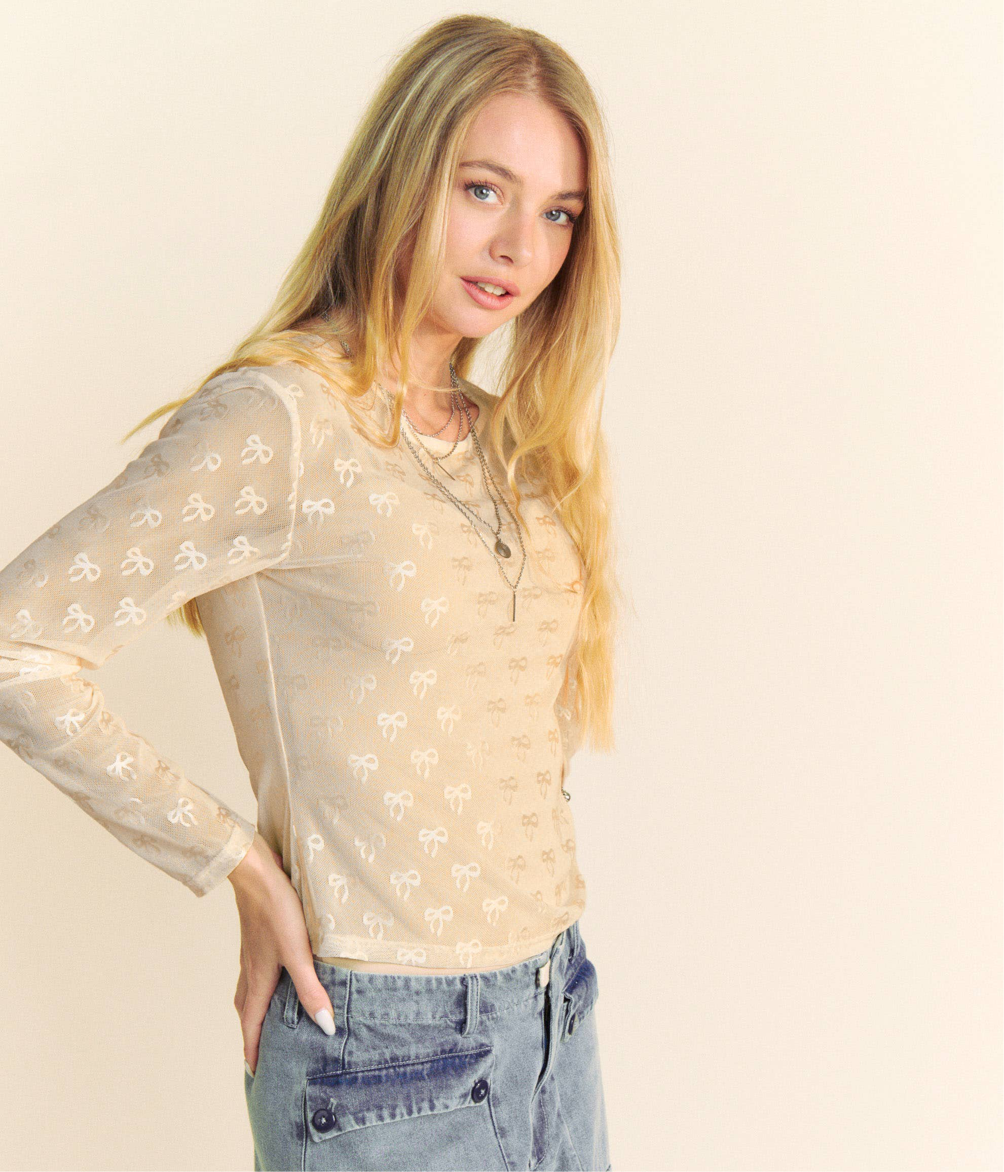 RIBBON EMBROIDERED LONG SLEEVE MESH TOP - Cream