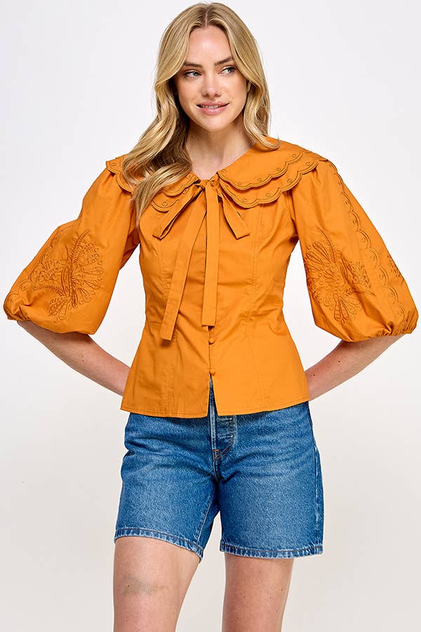 Embroidered Collared Blouse
