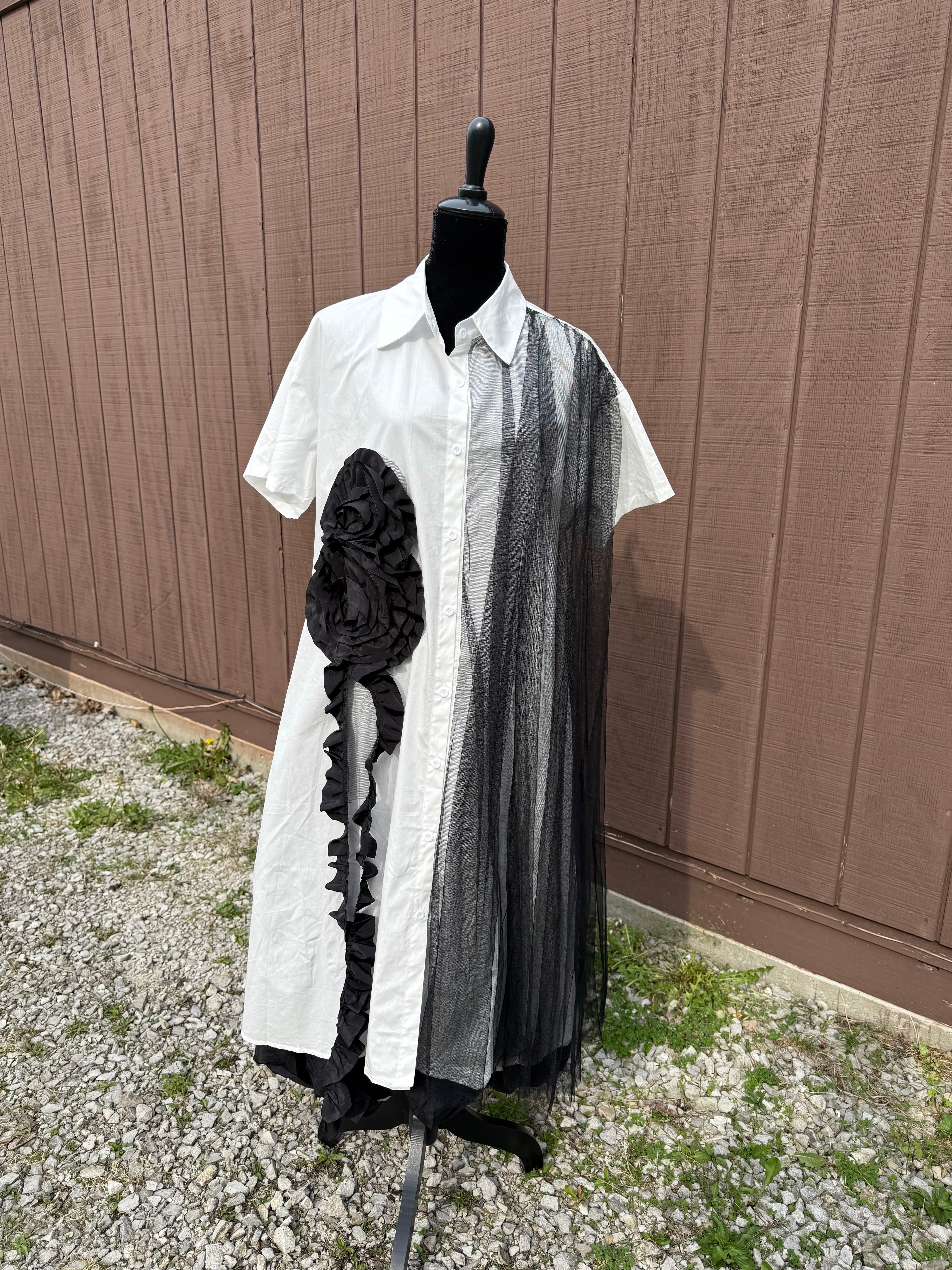 Zara Dress