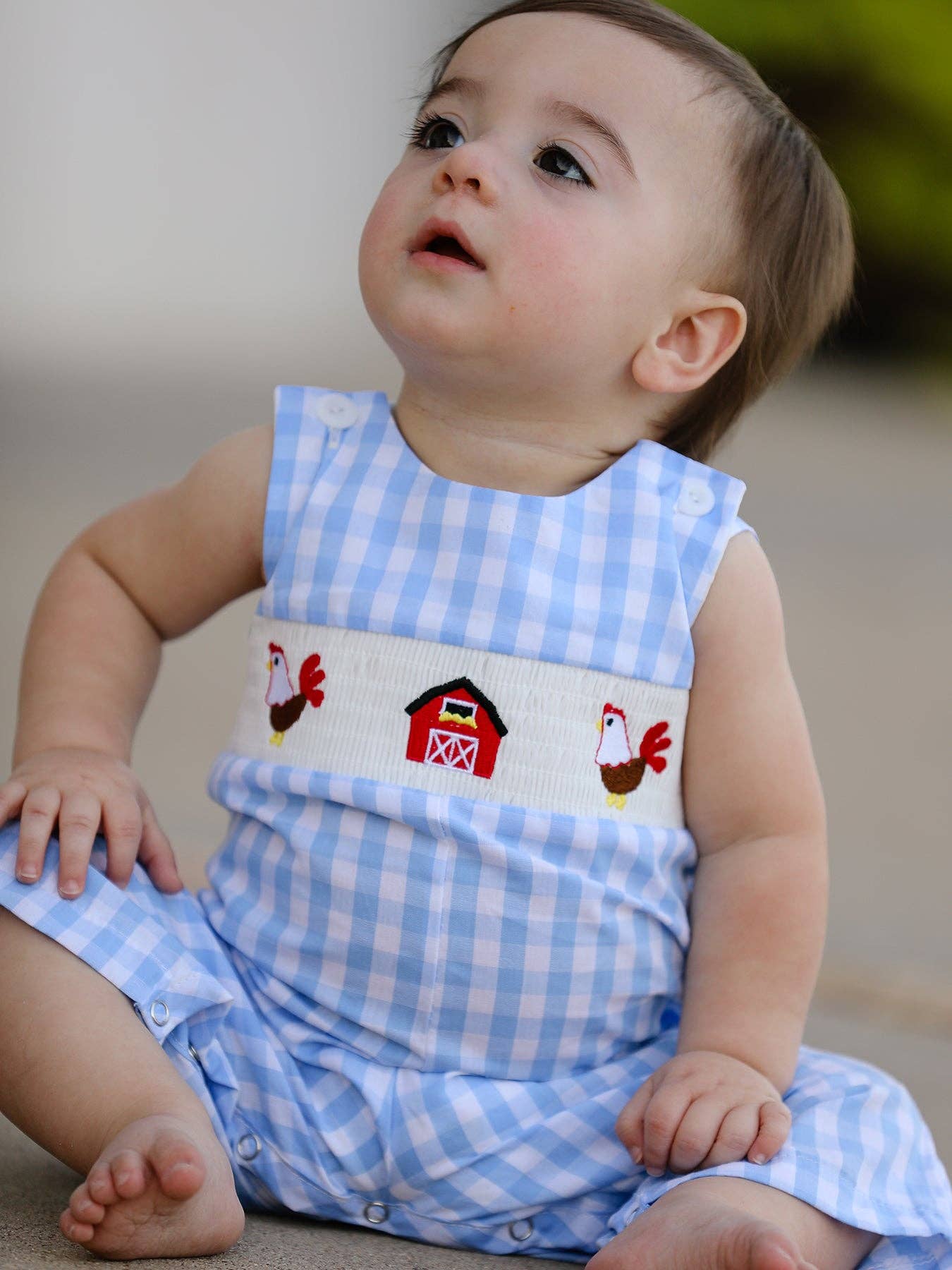 Chicken Smocked Romper