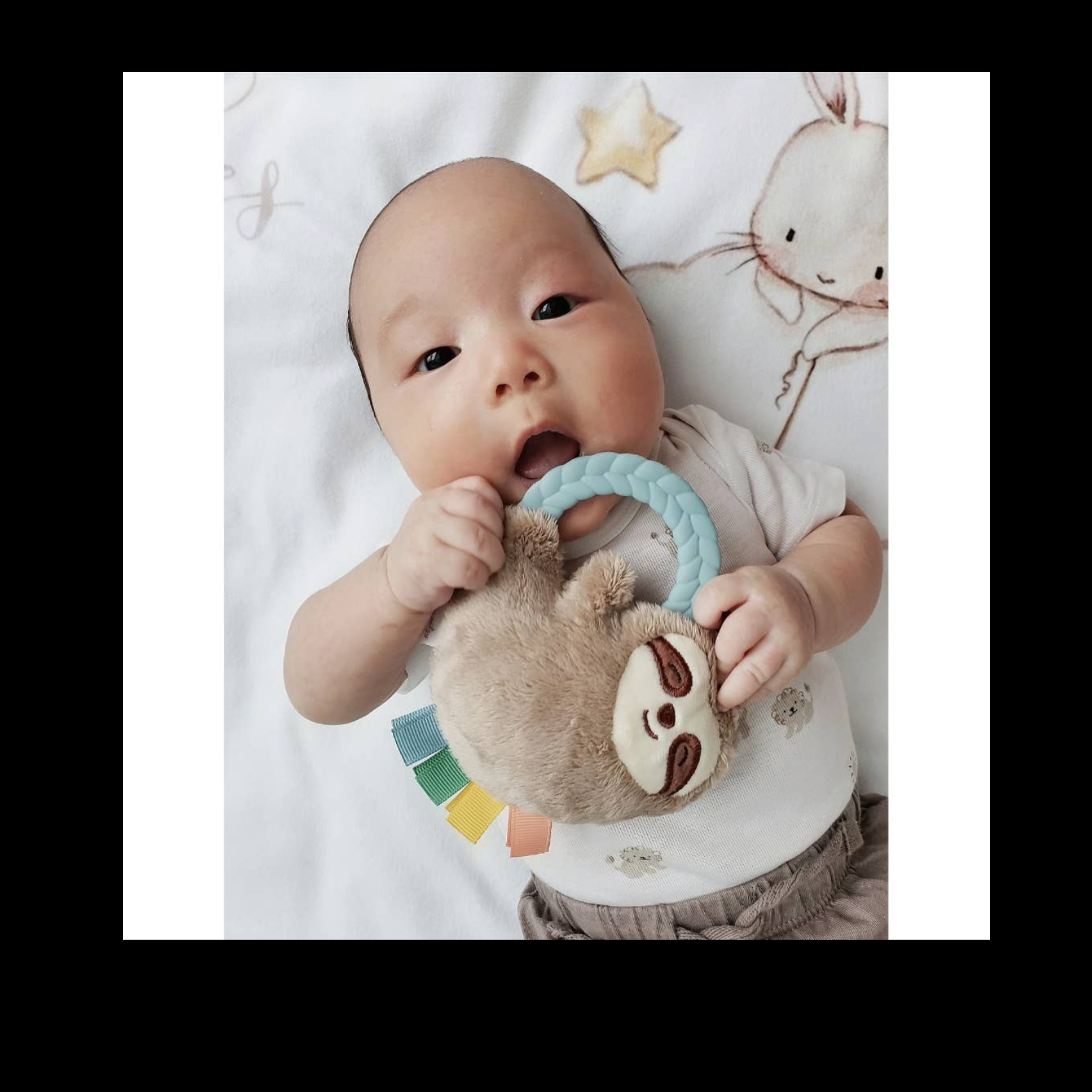Ritzy Rattle Pal Plush Rattle Pal With Teether